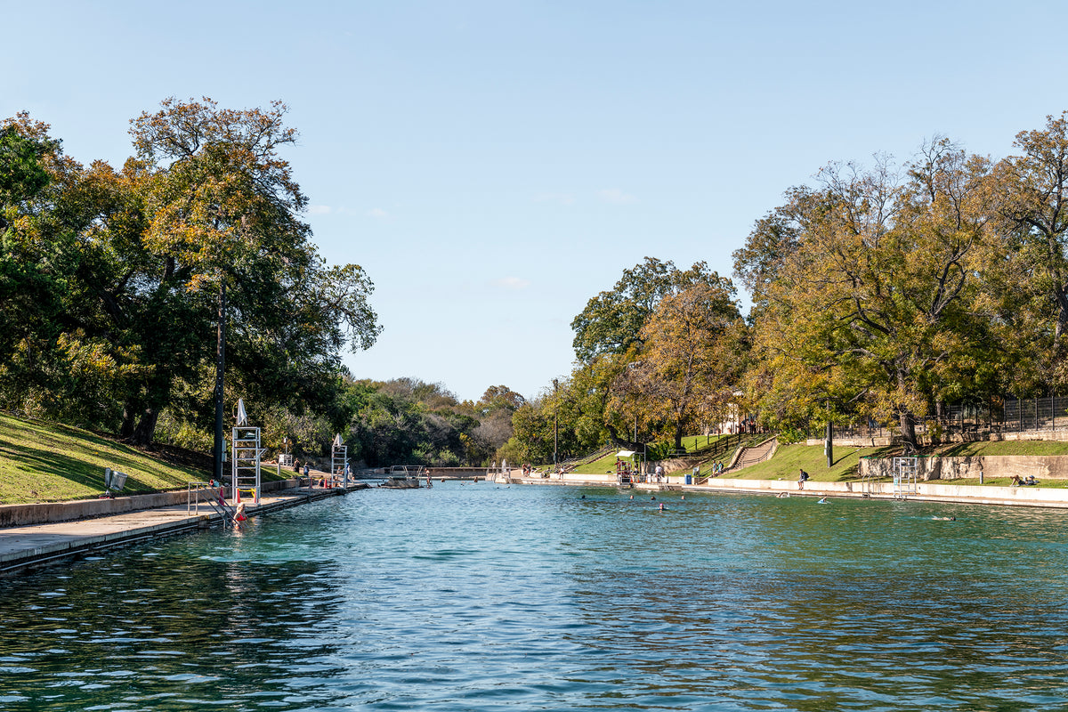 Beautiful trees line Barton Springs Pool where swimmers enjoy a sunny day