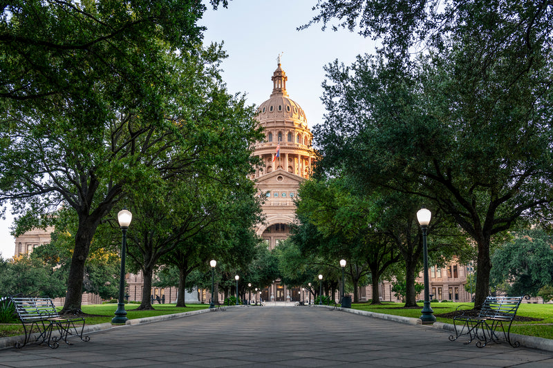 Early morning sun shines on The Great Walk leading up to the south side of the Texas Capitol
