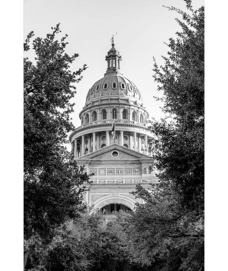 black and white image of trees framing the dome of the Texas Capitol