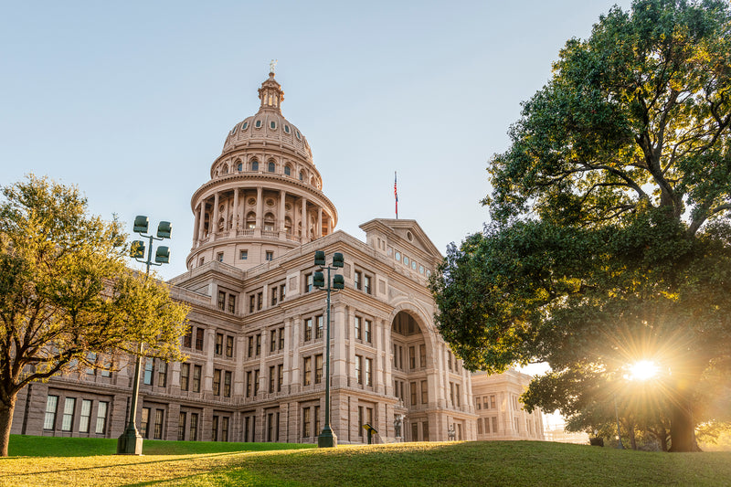 The morning sun shines through a tree near the Texas Capitol's main entrance